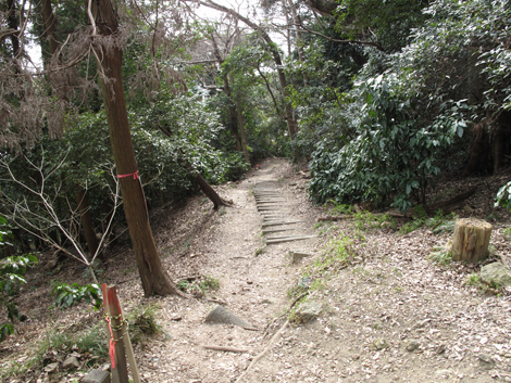20180223hike (178)